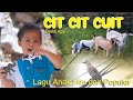 Lagu Cit Cit Cuit - Lagu Anak Cit Cit Cuit Hits Dan populer
