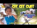 Lagu Cit Cit Cuit Lagu Anak Cit Cit Cuit Hits Dan Populer