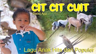 Lagu Cit Cit Cuit - Lagu Anak Cit Cit Cuit Hits Dan populer