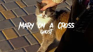 Cover art for Mary On A Cross (sped up)