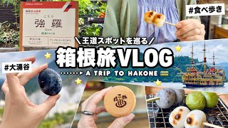 【箱根Vlog】箱根湯本から始まる癒やし旅♨️｜のんびり巡る箱根の休日