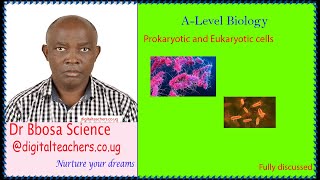 Prokaryotic and eukaryotic cell