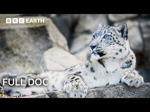 Guardians: Saving Earth's Most Endangered Animals - FULL DOC | BBC Earth