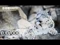 Guardians Saving Earth S Most Endangered Animals FULL DOC BBC Earth