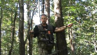 Treestand Wingman Review
