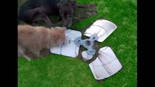 Trane XR13 fan blades hitting something  If you have the sunburst top grille, replace it now.
