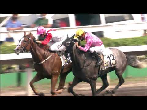 6/6/2021 (733) Fairy Floss - J Moreira