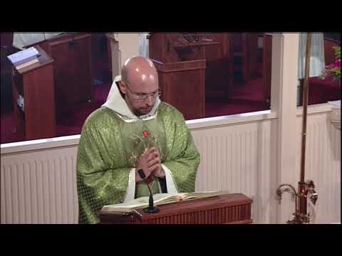 Daily Readings and Homily - 2020-07-26 - Fr. Mark