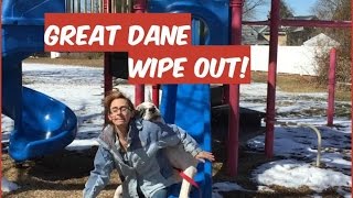 GREAT DANE SLIDE FAIL