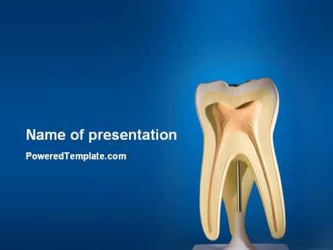 Tooth Powerpoint Template By Poweredtemplate Com
