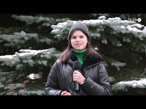 Recomandări de iarnă la munte - Diana Mandu