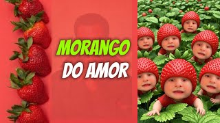Kaysar, casita - Morango do amor (moranguinho do amor )