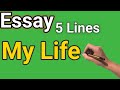 Essay On My Life In English My Life 10 Lines Short Essay 500 Words Essay By ARJ