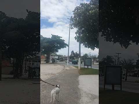 IGUABA GRANDE RJ ♥️  SÁBADO: 20/12/2025. 🌦️🌦️🌦️