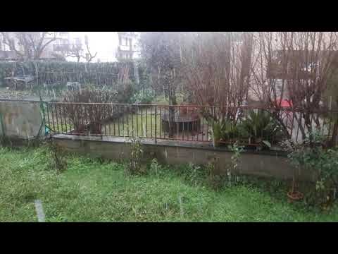 Neve 2021! Pistoia-Belvedere