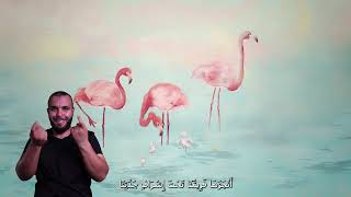 ثَوْرَةُ اُلْنَّحَامِ اُلْوَرْدِيِّ