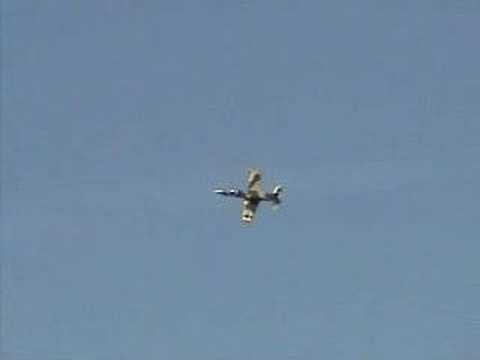 2006 Dover AFB Open House - L-39 Albatross