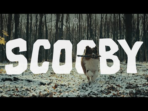 Video thumbnail for Scooby