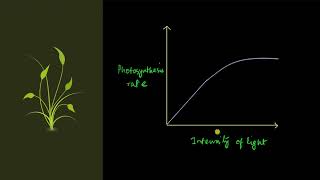 Factors affecting photosynthesis - Light | Photosynthesis in higher plants | Biology | Khan Academy