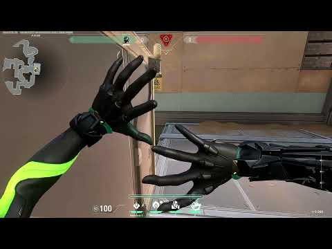 Viper Rat Pit Setup | Fracture