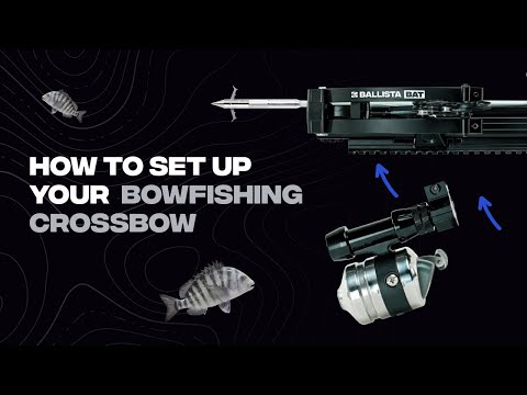 How to Set Up Your Ballista Bowfishing Crossbow