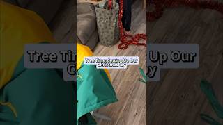 Tree Time: Setting Up Our Christmas Joy