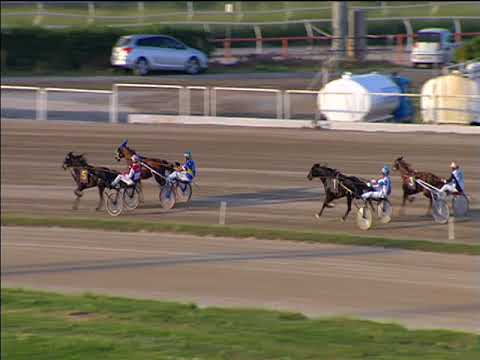 Trotto 30/04/2018 - 2ª corsa Minitrotter