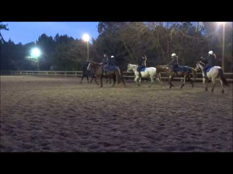 Mon film horse ball partie 1