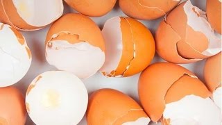 Não jogue a casca de ovo fora nunca mais!