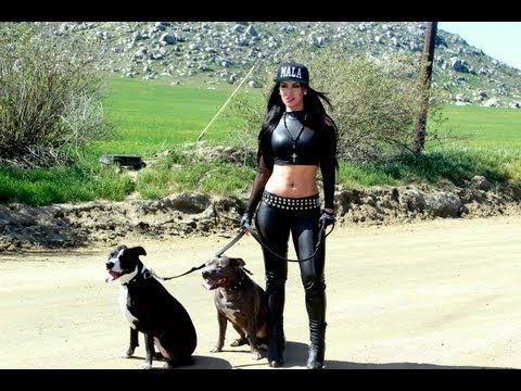 download lagu mp3 mp4 El Corrido Del Amor Letra, download lagu El Corrido Del Amor Letra gratis, unduh video klip El Corrido Del Amor Letra