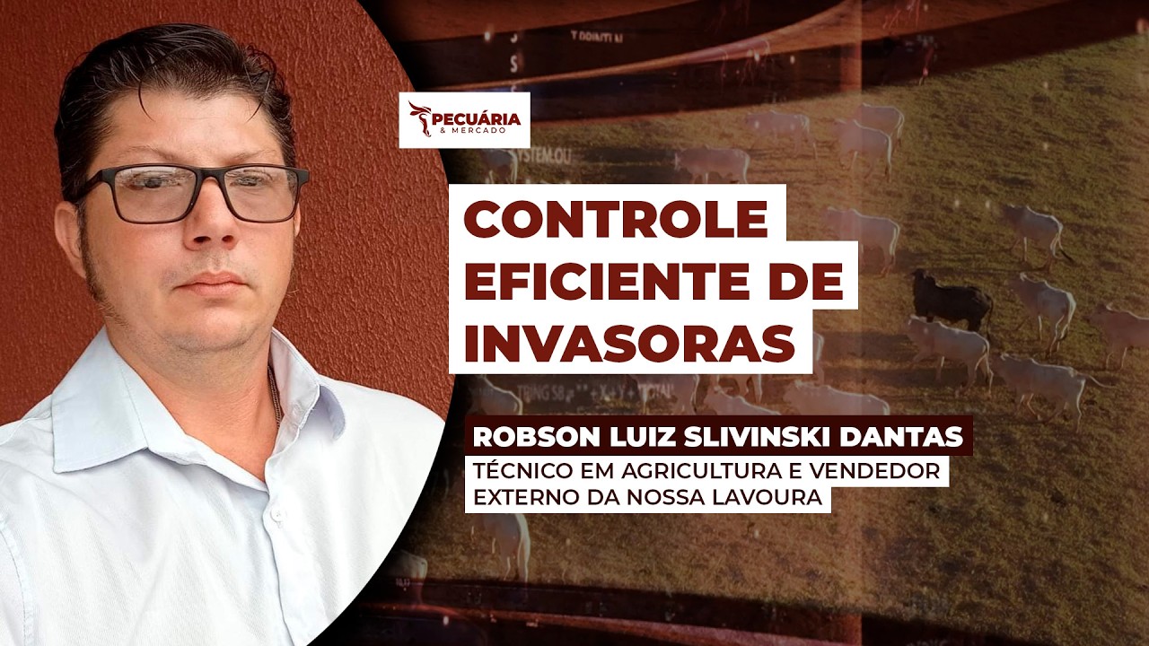Controle de plantas invasoras ainda é um desafio nas pastagens.