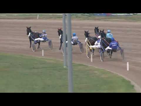 2018.11.03. 07. futam - LESTER DÍJ