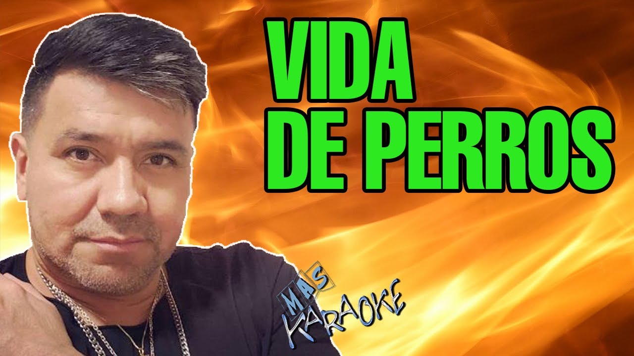Vide De Perros