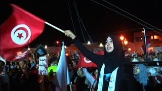 Understanding Arab Spring struggles and success