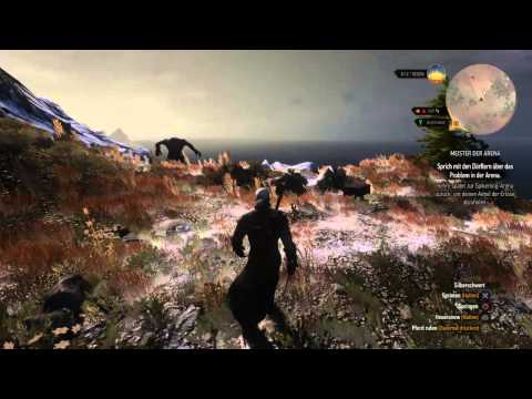 The Witcher 3: Wild Hunt - Insel Zyklop