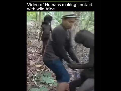 First time Human’s making contact with untouchable Tribe #fyp #explore #explorepage #viral #views