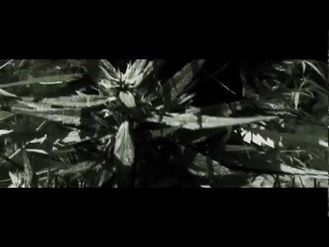 DUB ALL SENSE - HAFFI BUN Feat. MR.WILLIAMZ ( Official Video )