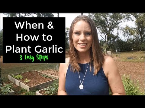 YouTube video about: When to plant garlic in kansas?