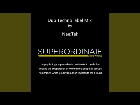Dub Techno Label Mix (Dj Continuos Mix)