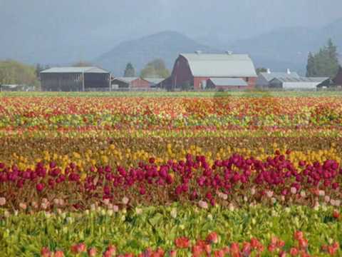 Jean Goldkette Orch. "Tip-Toe Through the Tulips" (1929)