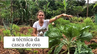 Miniatura do vídeo