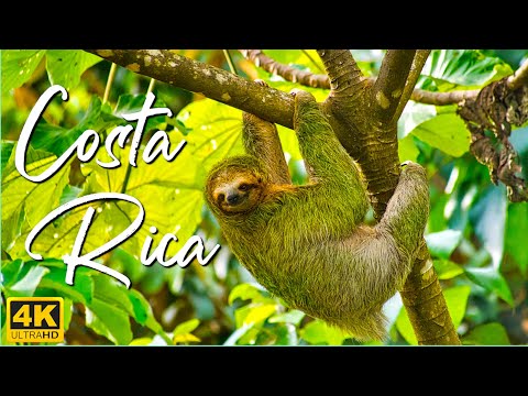 Beautiful Costa Rica 4K • Peaceful Relaxation Film with Calming Music