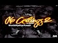 Lil Wayne White Iverson Remix Post Malone No Ceilings 2
