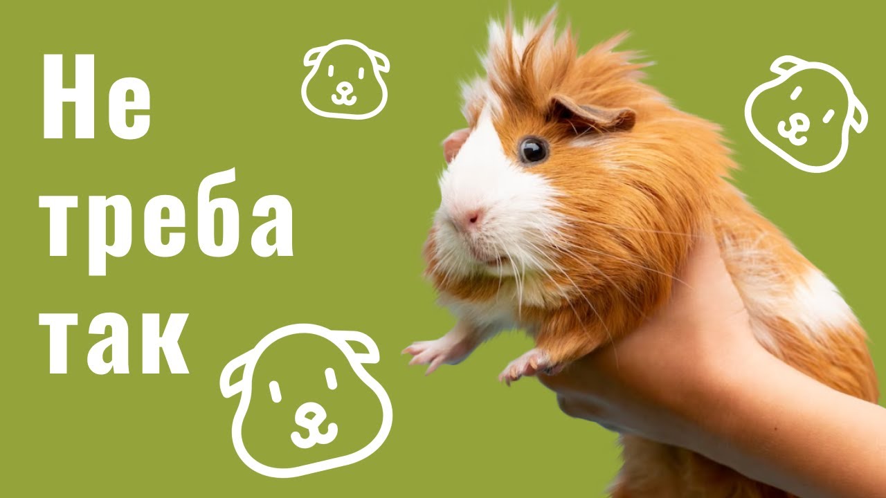 YouTube video preview