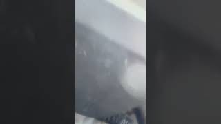 Meaning of OBD p041b