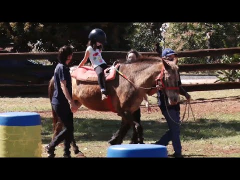 Poder da relação entre ser humano e animal