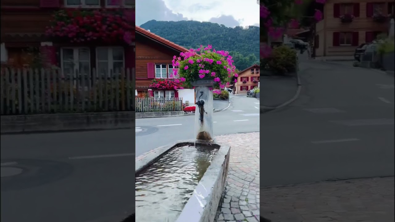 YouTube Short thumbnail