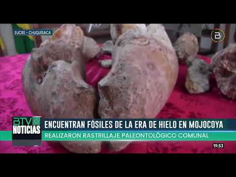 Chuquisaca: Encuentran más restos fósiles de la era de hielo en Mojocoya