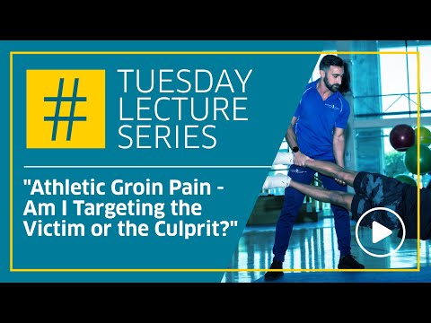 Athletic Groin Pain - Am I Targeting the Victim or the Culprit? Prof Enda King