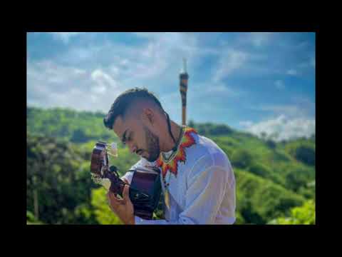 Y LLEGO  - Farid Marin - musica medicina - musica de yage